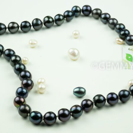 vòng cổ ngọc trai đen, ngọc trai nước ngọt