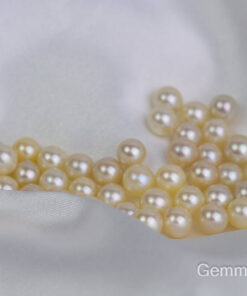 Viên ngọc trai lẻ akoya 6mm đến 7mm màu vàng chanh TL035
