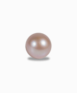 Hạt Trai Nước Ngọt Tím 15 ly TL056